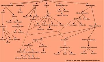 Indo-European linguistic family tree