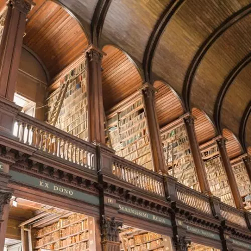 Library stock image